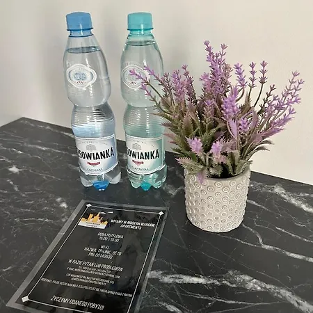 33 Modern Appartamento Varsavia