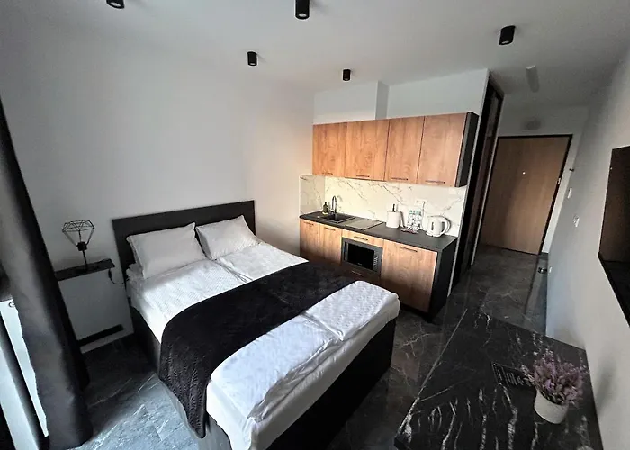 33 Modern Daire Varşova